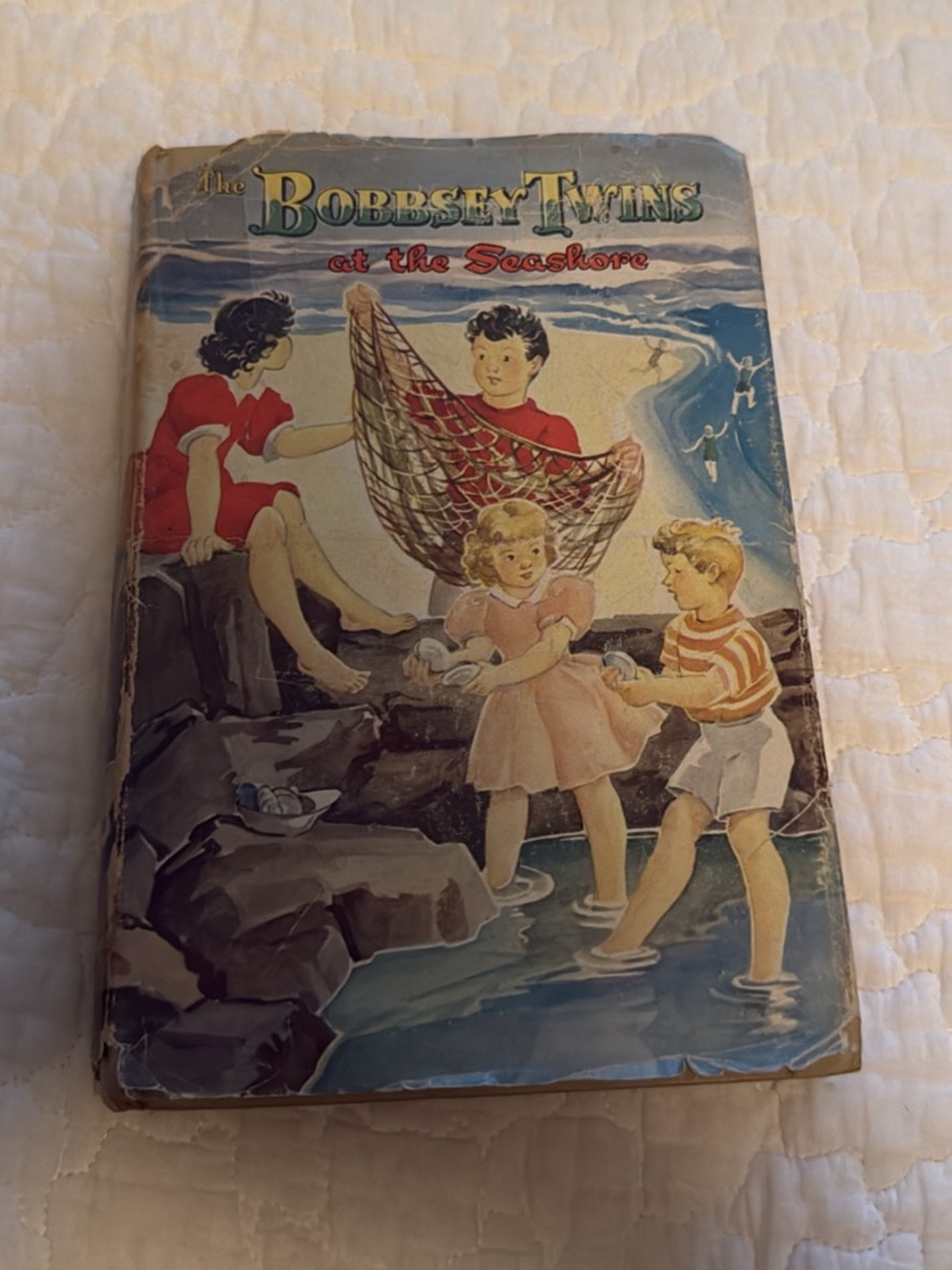 The Bobbsey Twins: at the Seashore
